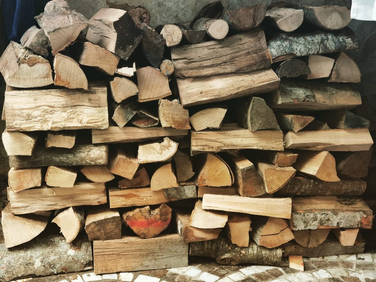 Quercia Lenta